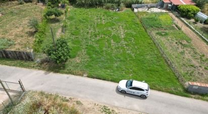 Terrain agricole à Miranda do Corvo de 580 m²