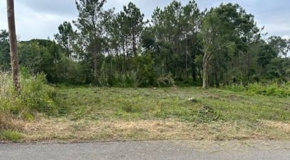 Building land in Monte Real e Carvide of 780 m²