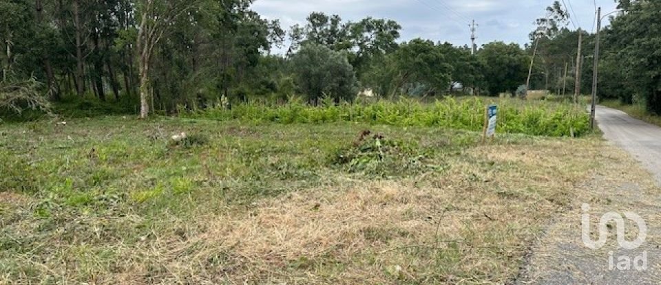 Terreno para construção em Monte Real e Carvide de 780 m²