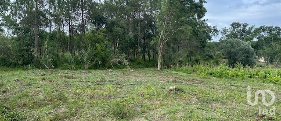 Terreno para construção em Monte Real e Carvide de 780 m²