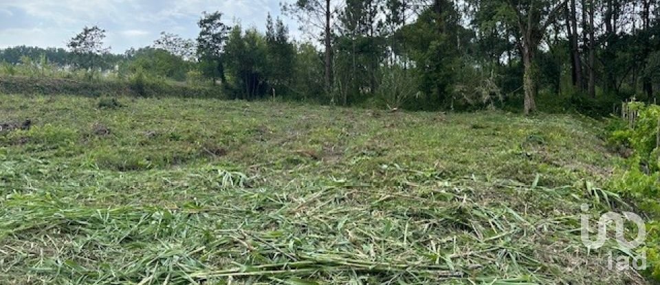 Terreno para construção em Monte Real e Carvide de 780 m²