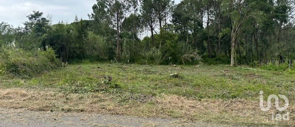 Terreno para construção em Monte Real e Carvide de 780 m²