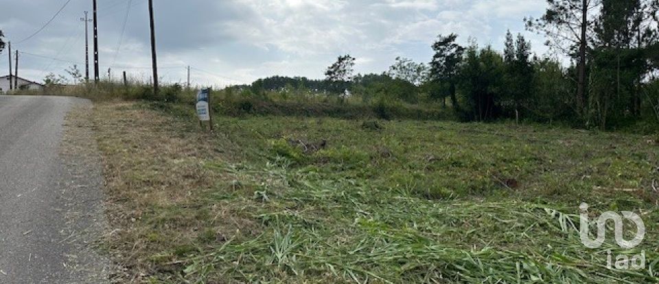 Terreno para construção em Monte Real e Carvide de 780 m²