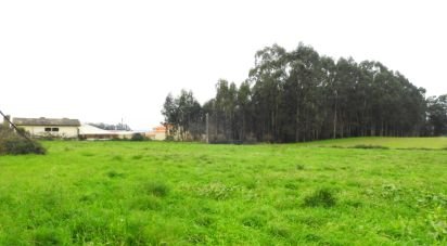 Terrain à Ovar, São João, Arada e São Vicente de Pereira Jusã de 3 950 m²