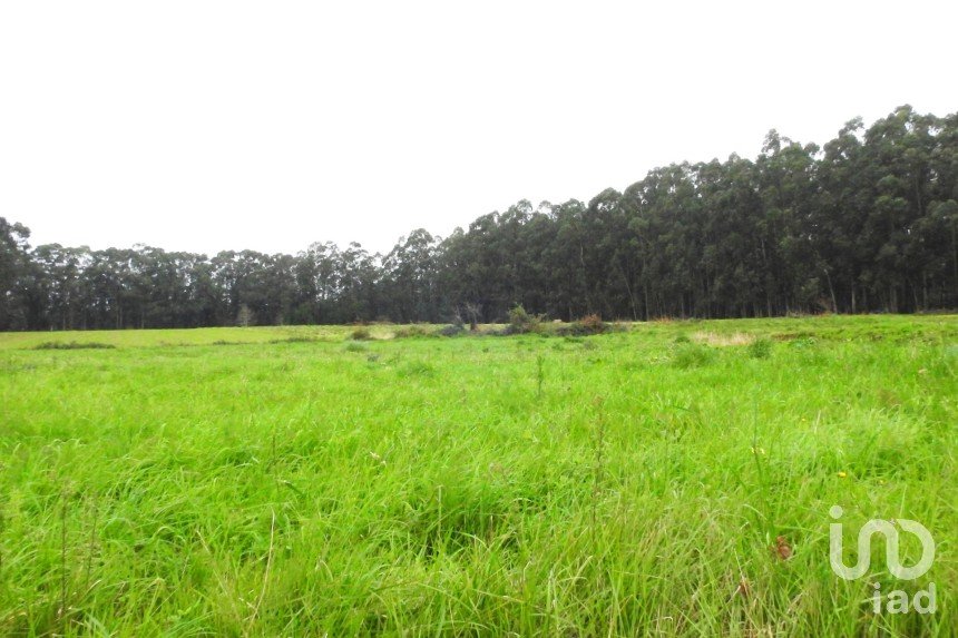 Terrain à Ovar, São João, Arada e São Vicente de Pereira Jusã de 3 950 m²