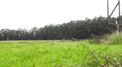 Terrain à Ovar, São João, Arada e São Vicente de Pereira Jusã de 3 950 m²