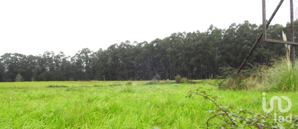 Terrain à Ovar, São João, Arada e São Vicente de Pereira Jusã de 3 950 m²