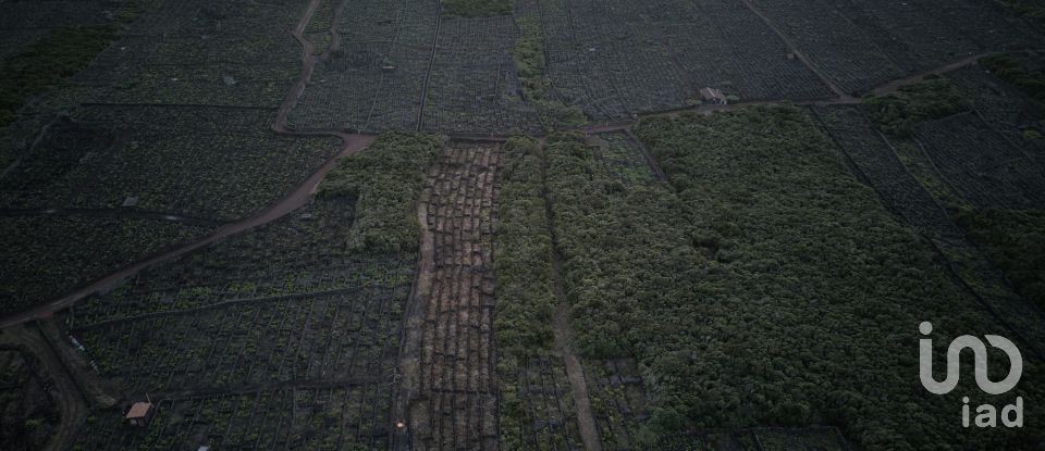 Terreno em Criação Velha de 6 776 m²