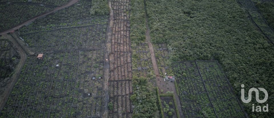 Terreno em Criação Velha de 6 776 m²