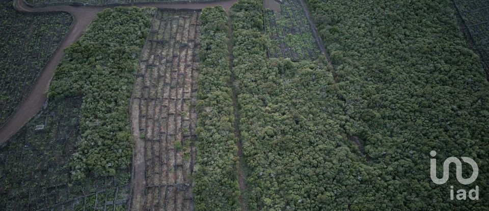 Terreno em Criação Velha de 6 776 m²