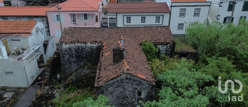 Traditional house T3 in Ribeiras of 207 m²