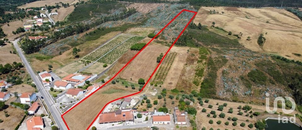 Terrain à São Pedro de Tomar de 24 800 m²