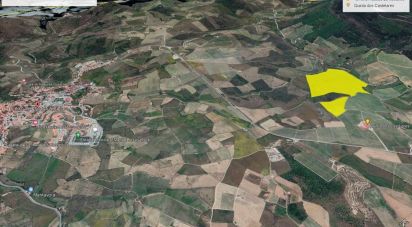 Land in Poiares of 320,000 m²