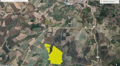 Land in Poiares of 320,000 m²