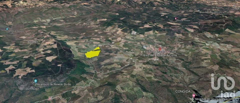 Land in Poiares of 320,000 m²