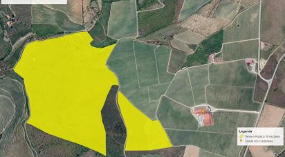 Land in Poiares of 320,000 m²