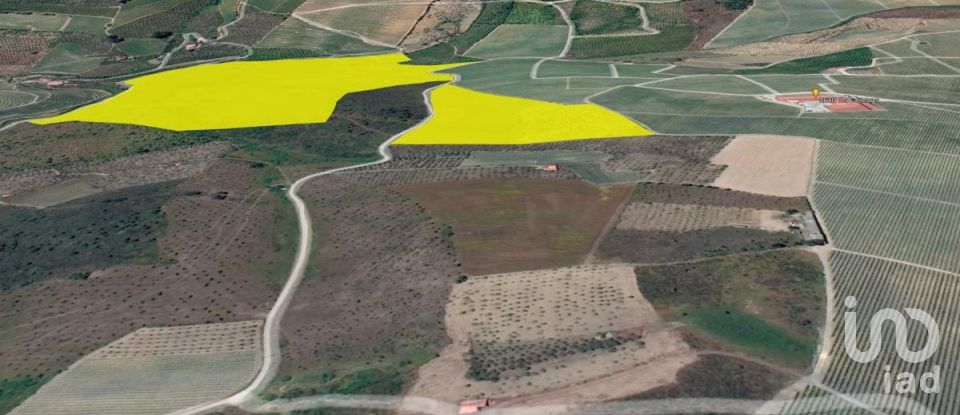 Land in Poiares of 320,000 m²