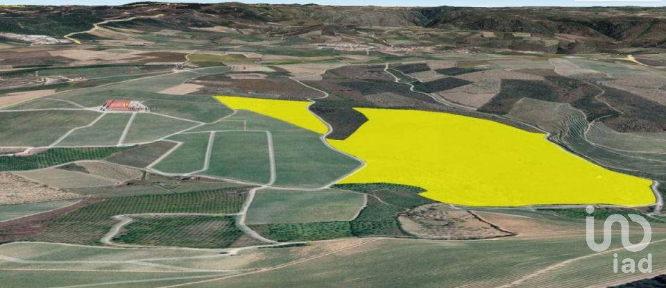 Land in Poiares of 320,000 m²