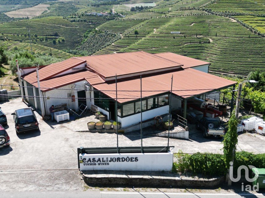Farm T0 in Ervedosa do Douro of 580,000 m²