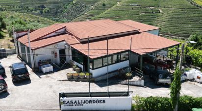 Farm T0 in Ervedosa do Douro of 580,000 m²
