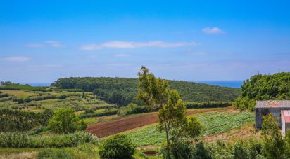 Gîte T3 à Lourinhã e Atalaia de 136 m²