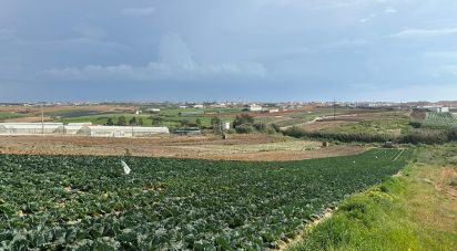 Terreno em Atouguia da Baleia de 5 840 m²