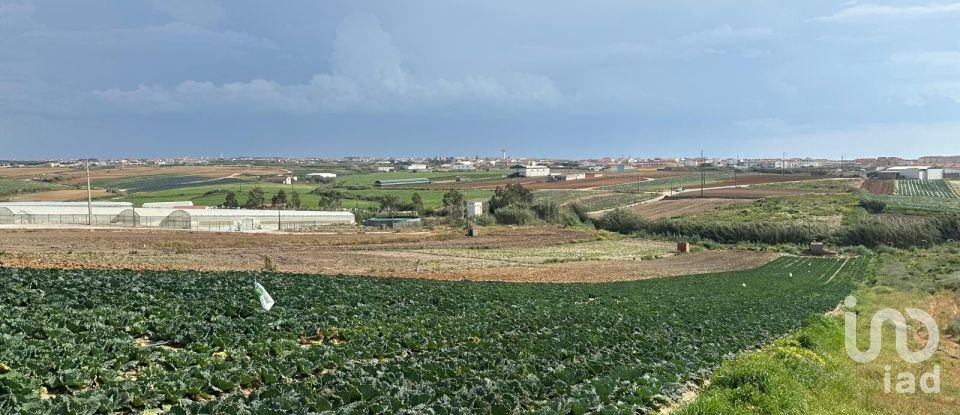 Land in Atouguia da Baleia of 5,840 m²