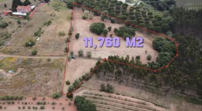 Land in Peral of 11,760 m²
