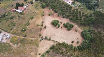 Land in Peral of 11,760 m²