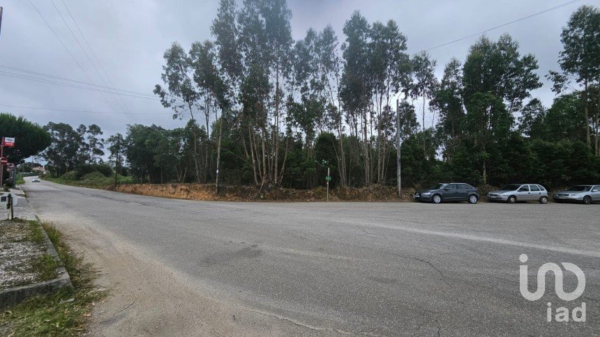 Land in Loureiro of 8,130 m²