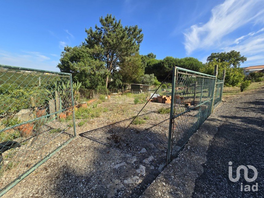 Land in Ericeira of 3,032 m²