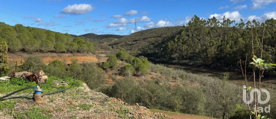 Maison de village T3 à São Bartolomeu de Messines de 122 m²