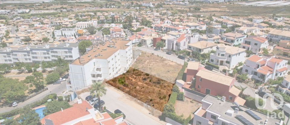 Terrain à bâtir à Montenegro de 562 m²