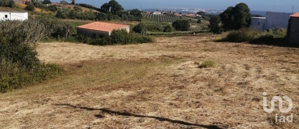 Terreno em Cela de 3 247 m²