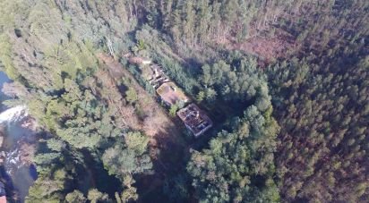 Terreno em Pinheiro da Bemposta, Travanca e Palmaz de 20 500 m²