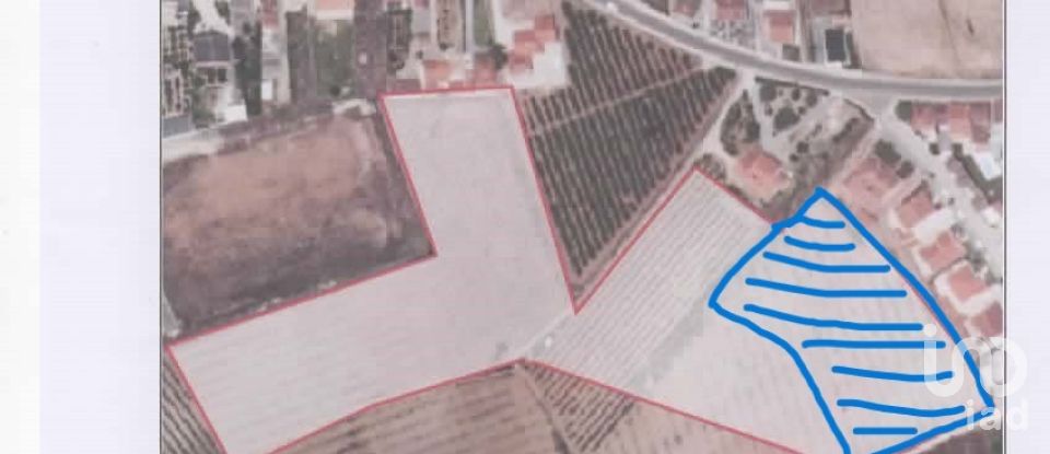 Terrain à bâtir à Cadaval e Pêro Moniz de 91 520 m²
