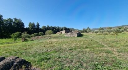 Farm T0 in Vale Flor, Carvalhal e Pai Penela of 49,500 m²