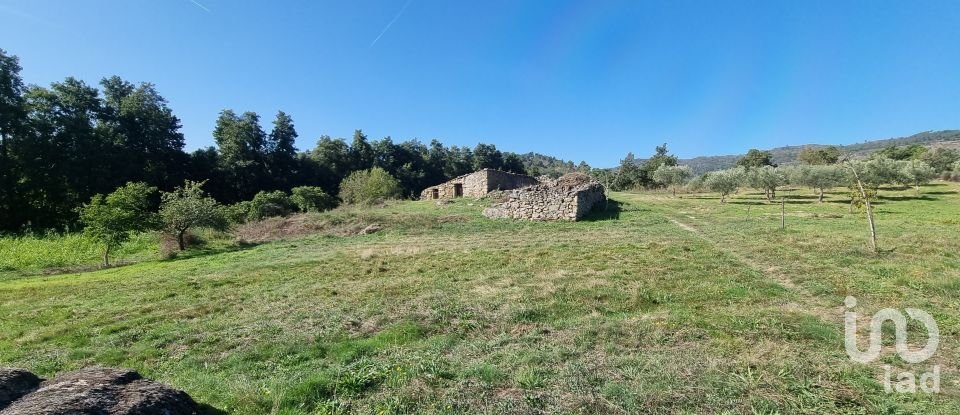 Farm T0 in Vale Flor, Carvalhal e Pai Penela of 49,500 m²