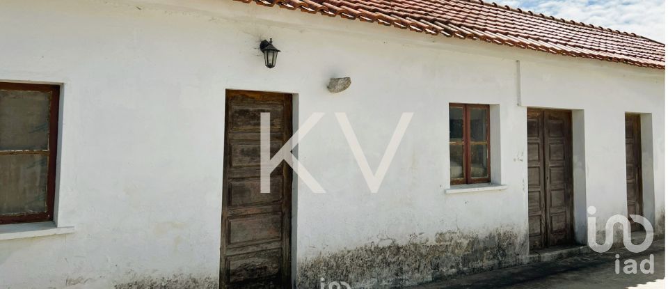 Traditional house T5 in Pardilhó of 338 m²