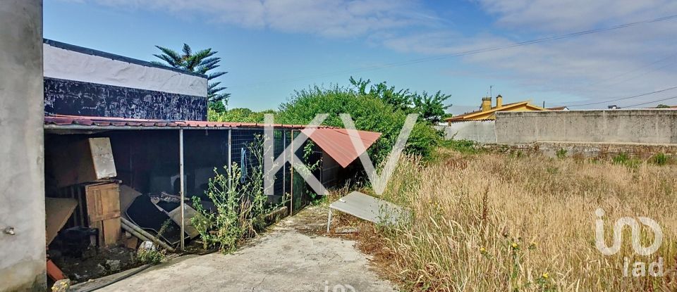 Casa tradicional T5 em Pardilhó de 338 m²