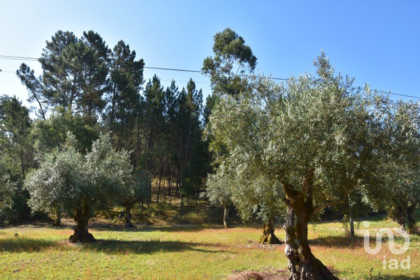 Building land in Seiça of 1,677 m²