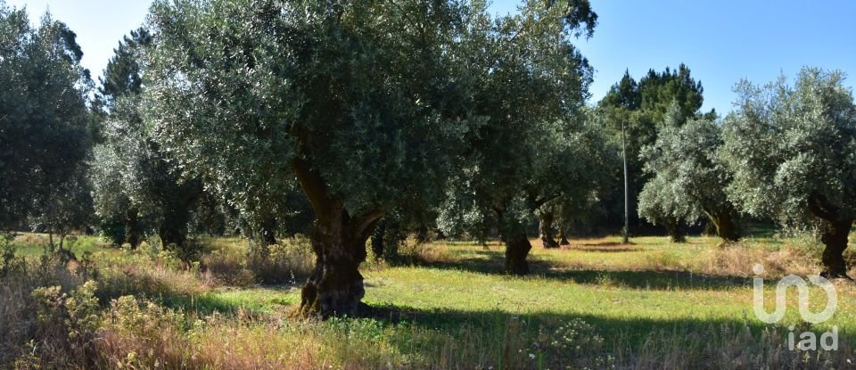 Terrain à bâtir à Seiça de 1 677 m²