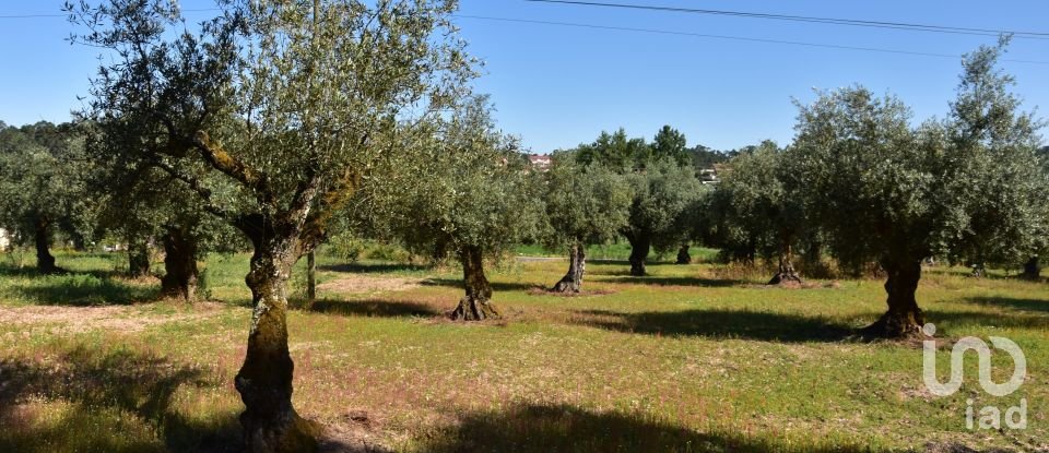 Building land in Seiça of 1,677 m²