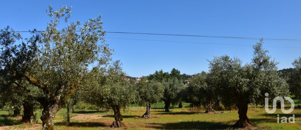 Terrain à bâtir à Seiça de 1 677 m²