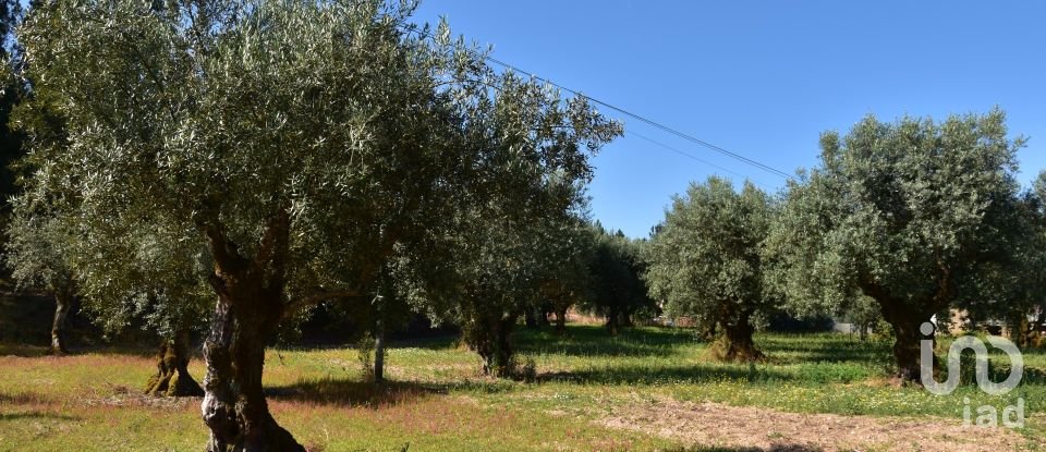 Terrain à bâtir à Seiça de 1 677 m²