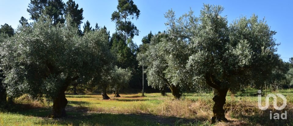 Building land in Seiça of 1,677 m²