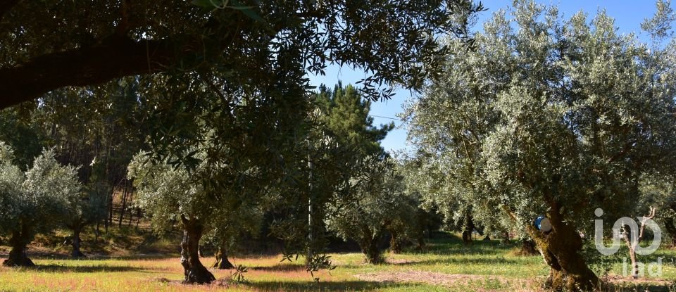 Terrain à bâtir à Seiça de 1 677 m²