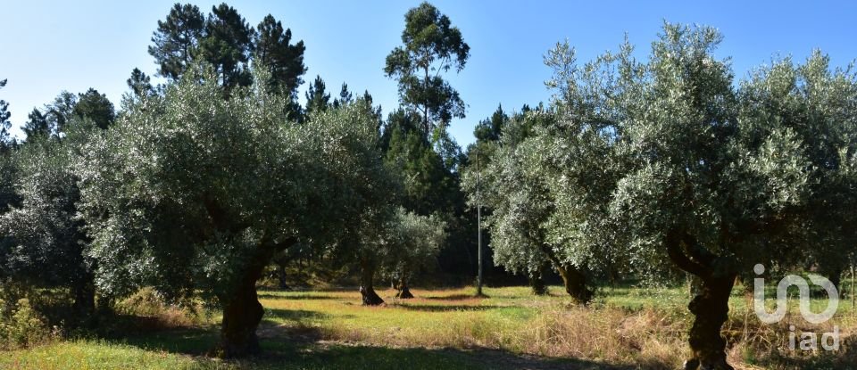 Terreno para construção em Seiça de 1 677 m²