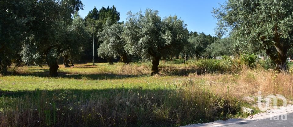 Building land in Seiça of 1,677 m²