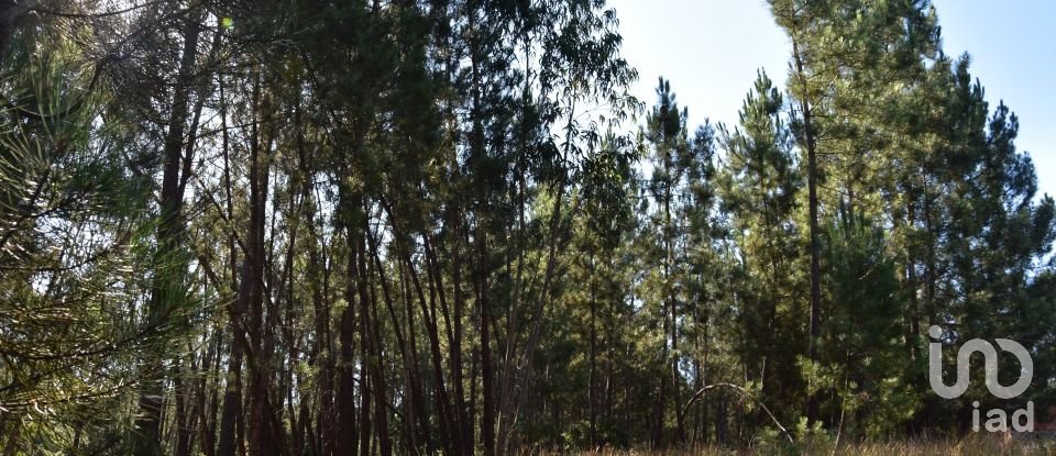 Building land in Seiça of 1,677 m²